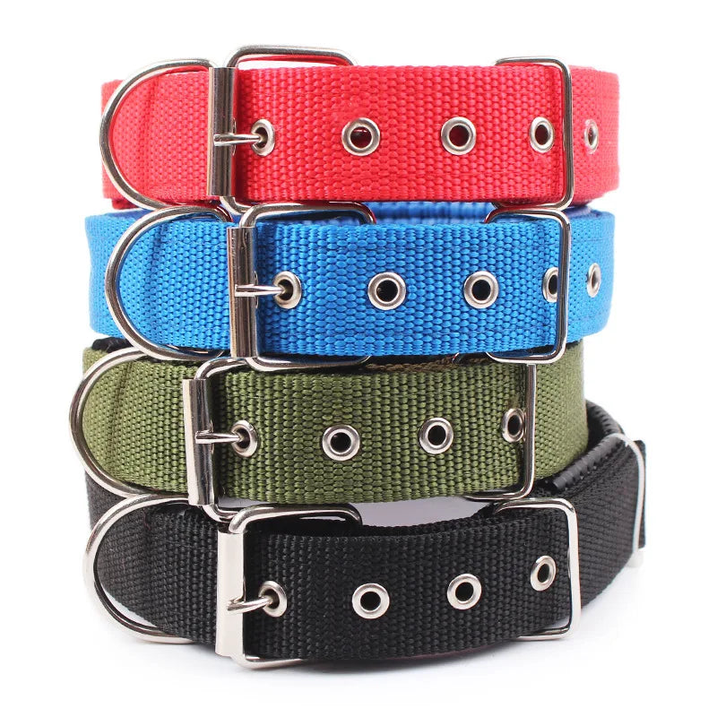 Brando | Verstellbares Nylon-Hundehalsband für aktive Hunde