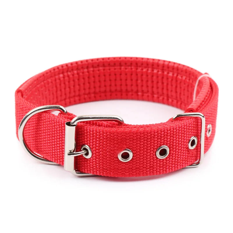 Brando | Verstellbares Nylon-Hundehalsband für aktive Hunde