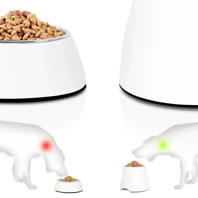 Arvetti | Ergonomischer Futternapf für Hunde & Katzen mit Edelstahlschale