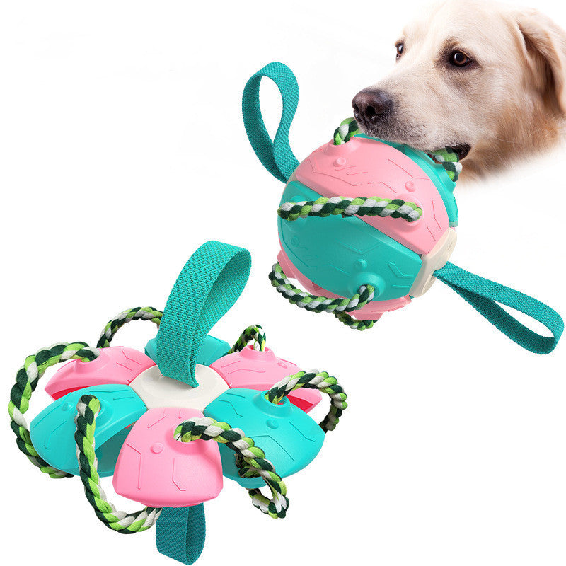 Brando | Interaktiver Hundespielball mit Schleuderfunktion