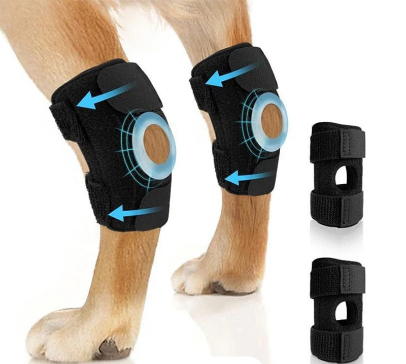 Caniflex | Orthopädische Knie- & Beinschiene für Hunde mit Gel-Polsterung