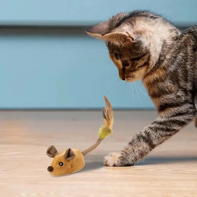 Felix | Interaktive Spielmaus für schlaue Katzen