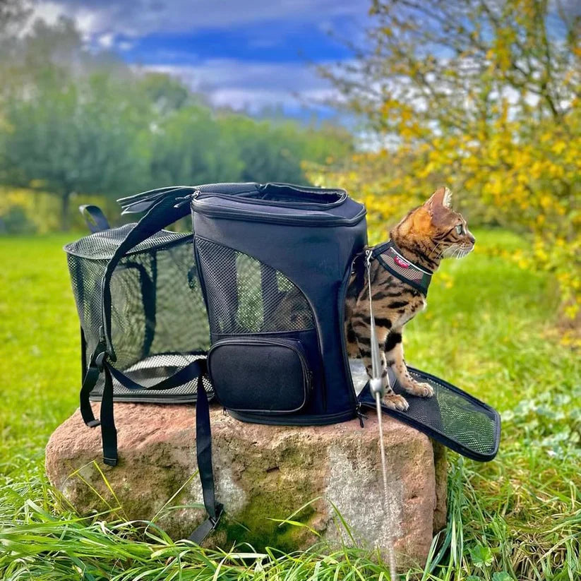Milo | Ergonomischer Katzenrucksack mit Sichtfenster