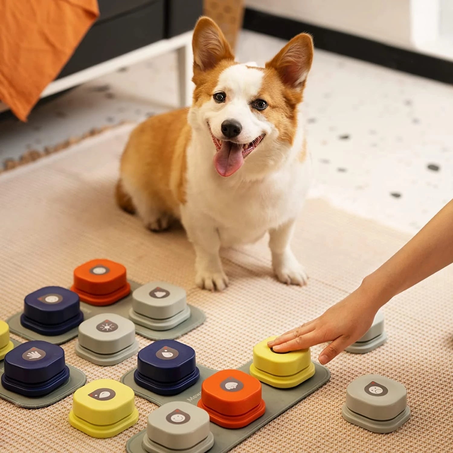 Barko | Intelligente Sprechknöpfe für Hunde