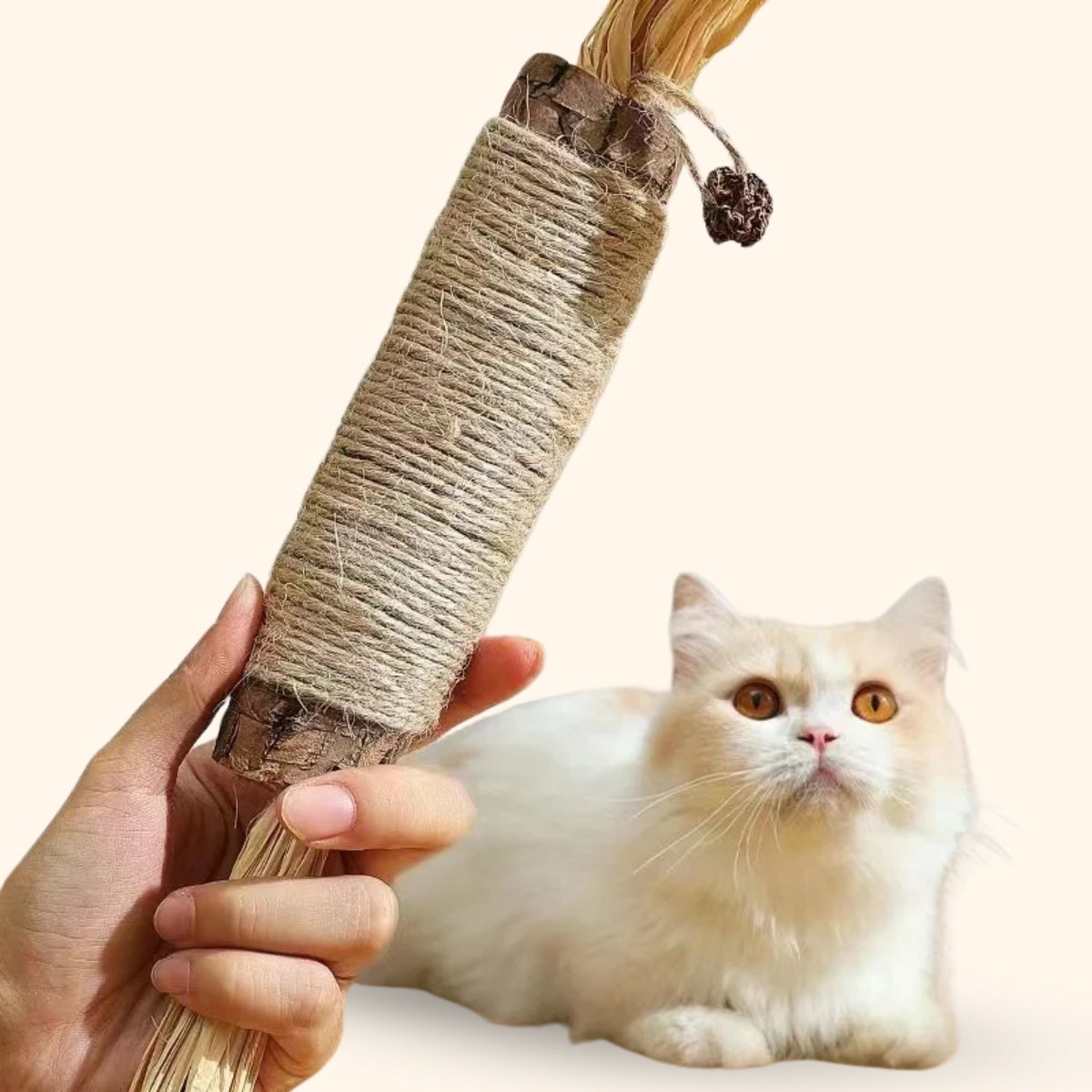Oscar | Natürlicher XL-Katzenminze-Stick mit Spielspaß