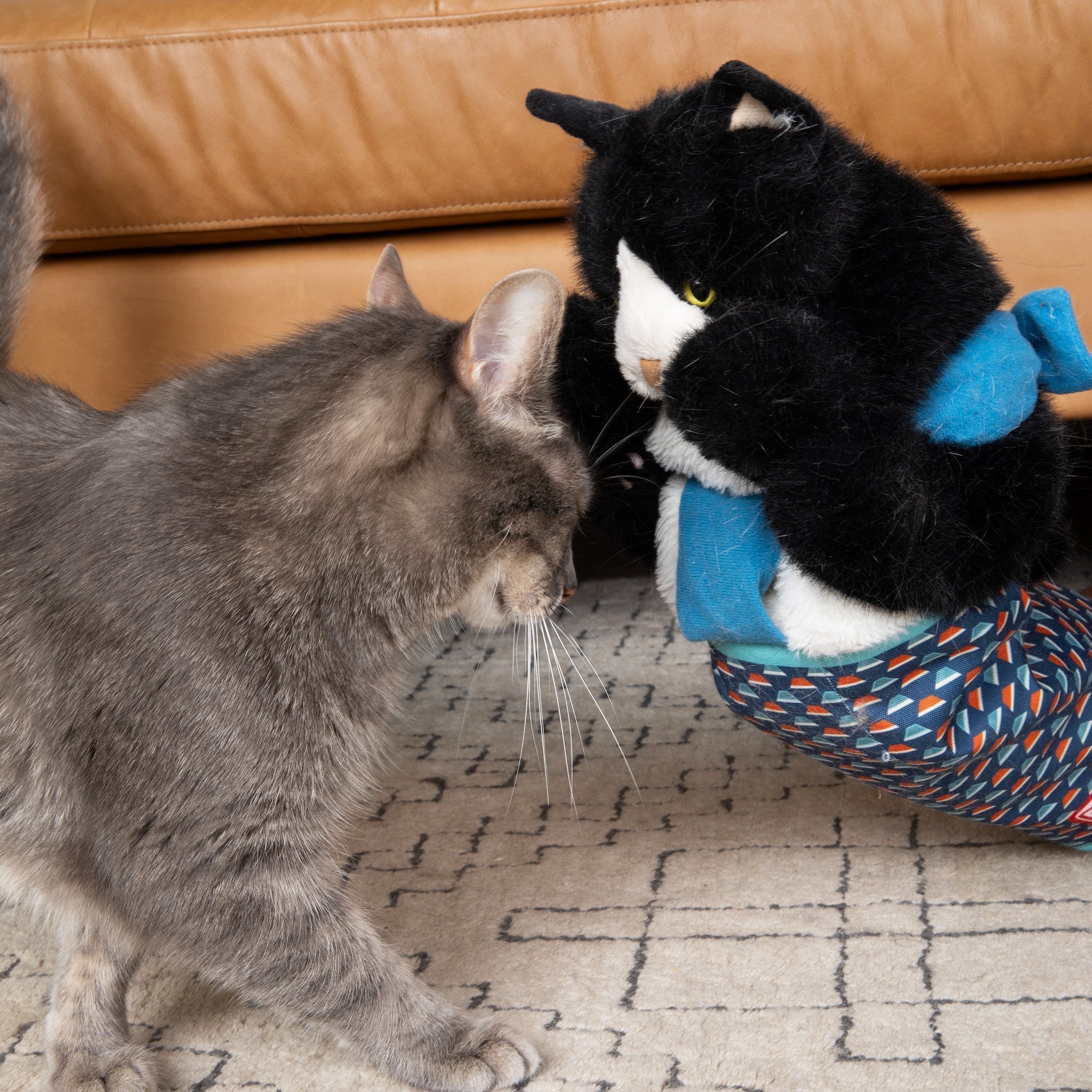 Boxicat | Raufspiel-Handpuppe mit Katzenminze & Kratzschutz für interaktives Katzenspiel