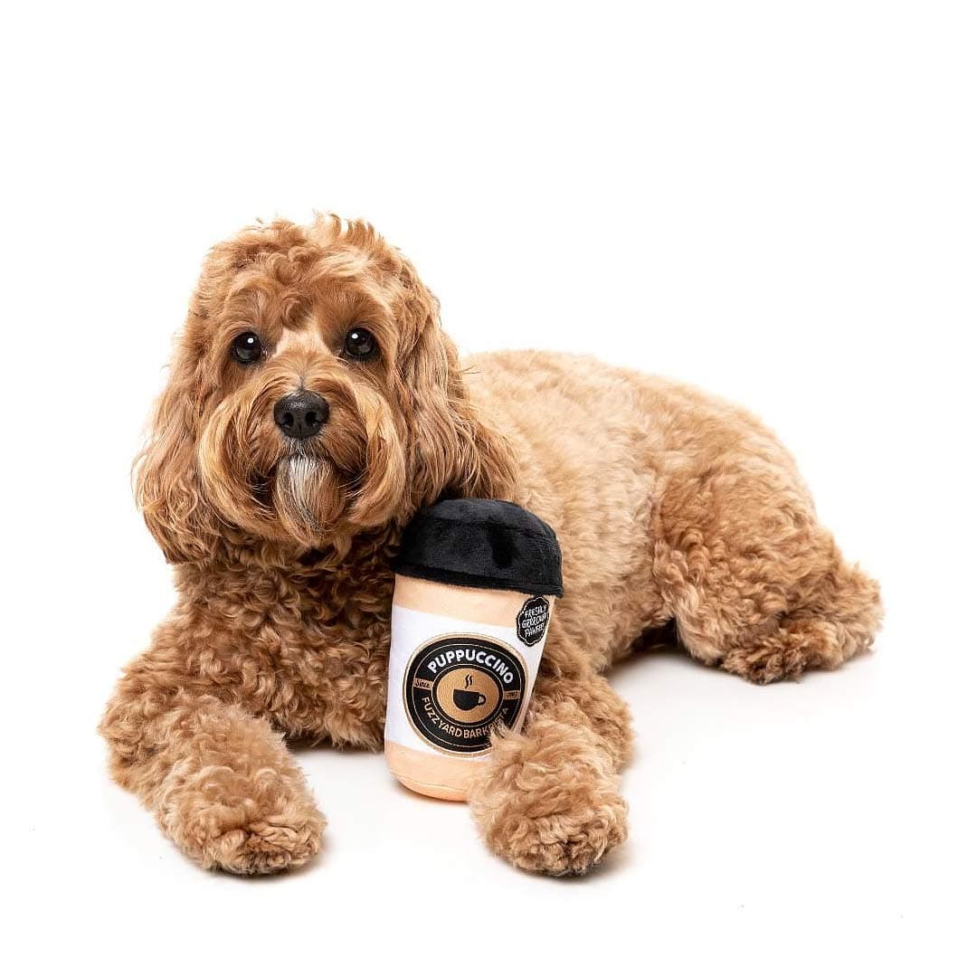 Pawfee Club | Plüsch-Kaffee-Spielzeug für Hunde – Puppuccino Edition
