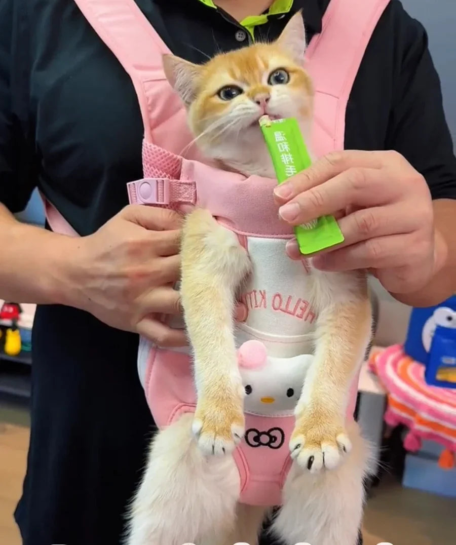 PfotiBag | Trage-Rucksack für kleine Hunde & Welpen mit Beinausschnitten