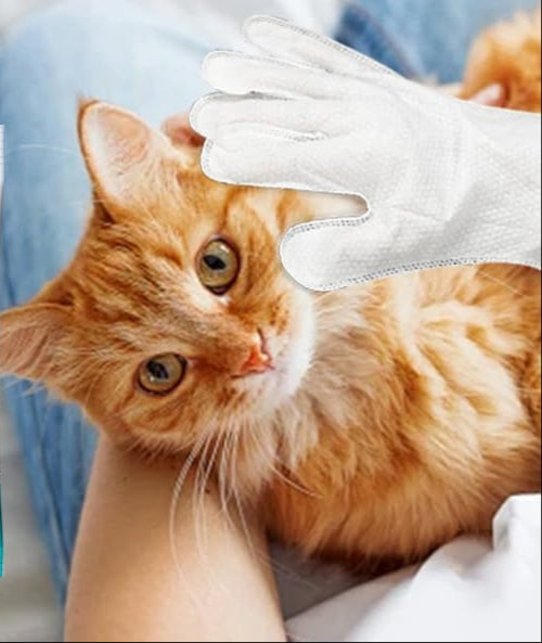 Fellina | Einweg-Pflegehandschuhe für Hunde & Katzen