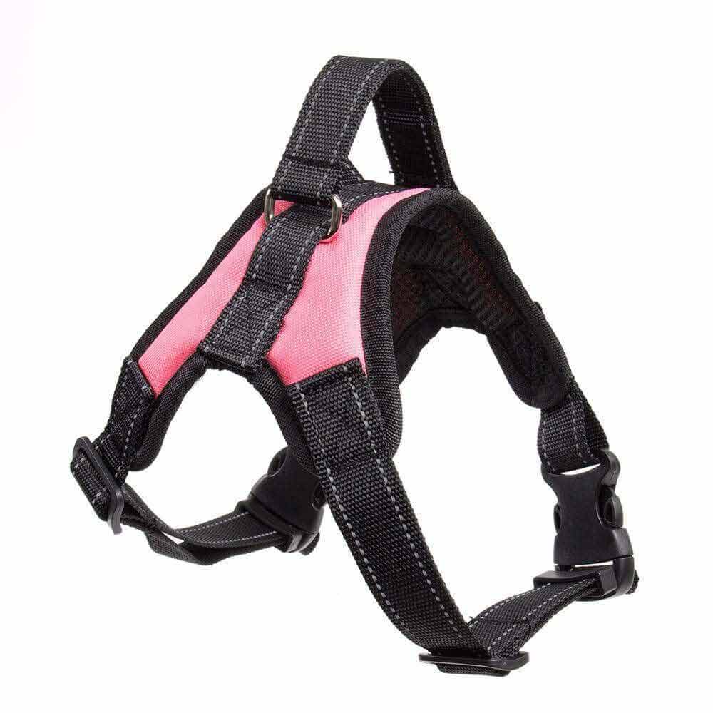 SafeStrap | Verstellbares Premium-Hundegeschirr für Sicherheit & Komfort