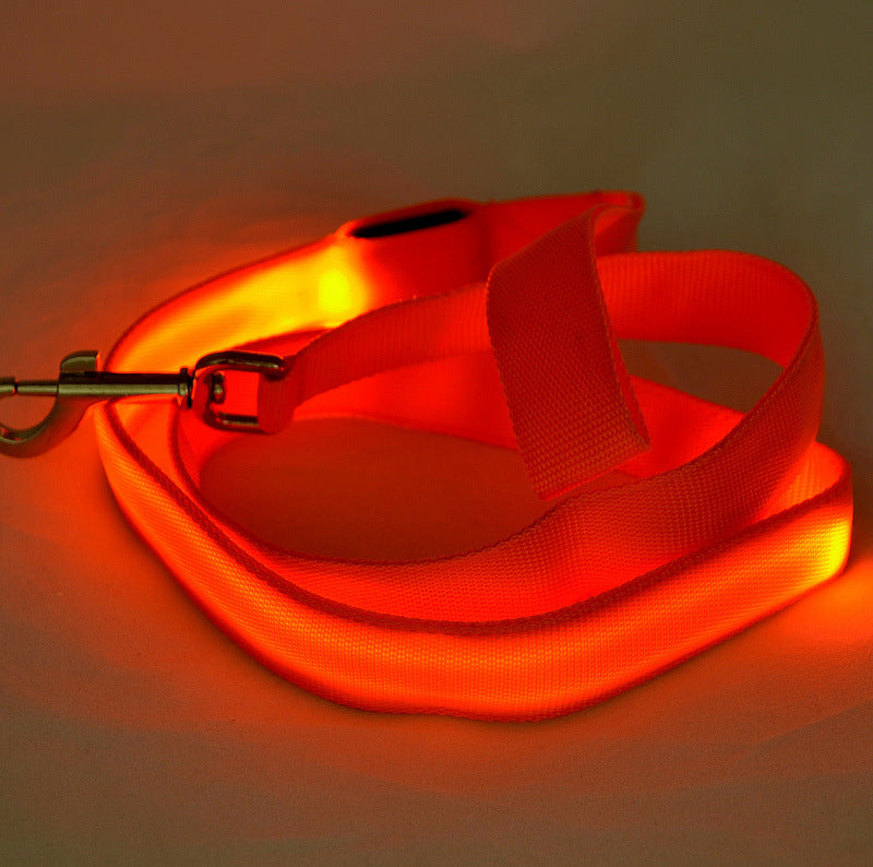 LumiPaw | LED Hundeleine mit USB-Aufladung und 3 Leuchtmodi