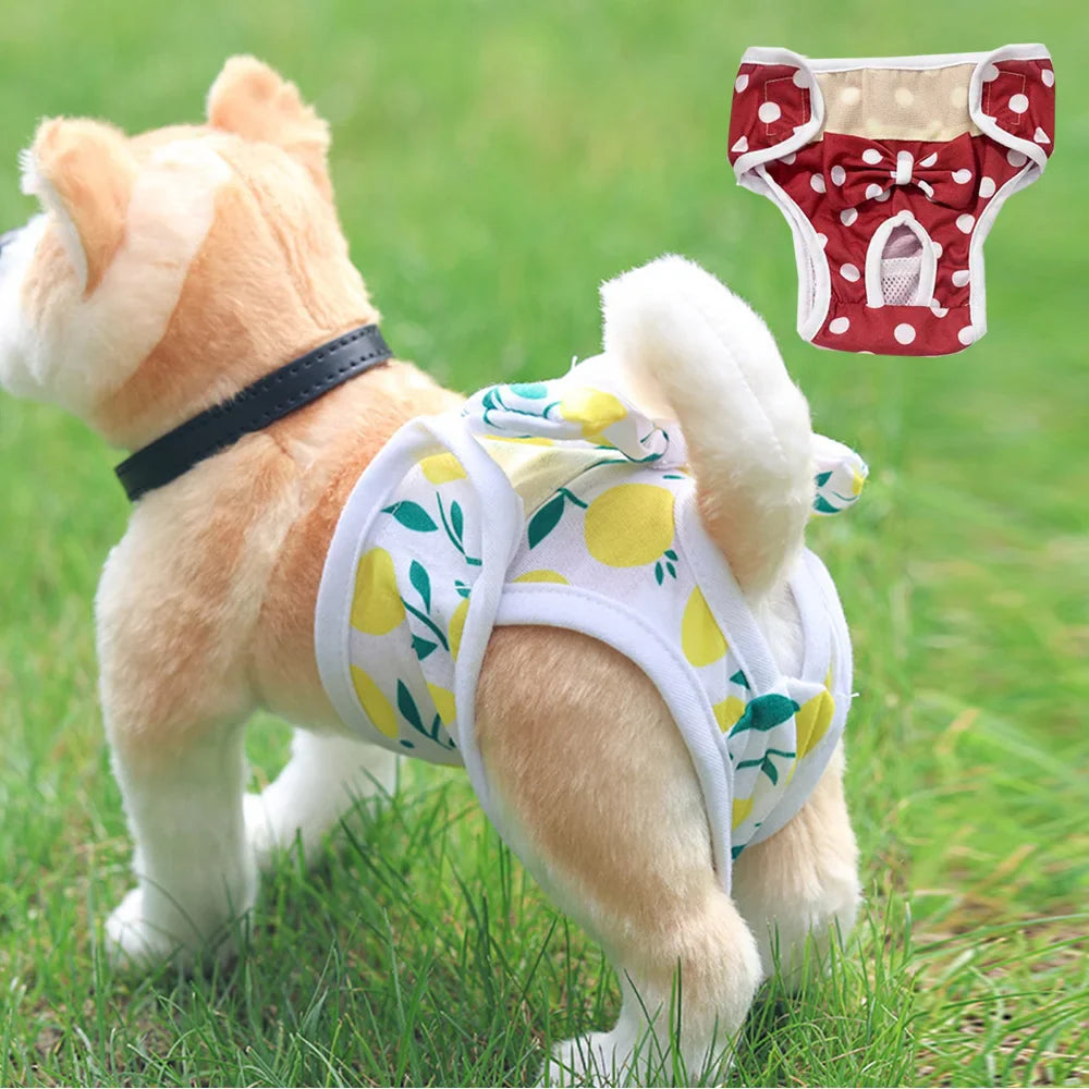 BellaPaws | Stylische Hundewindel für Hündinnen – waschbar & bequem