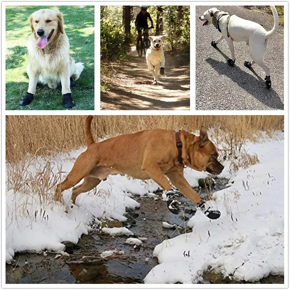 Lupo | Robuste Outdoor-Hundeschuhe mit Anti-Rutsch-Sohle