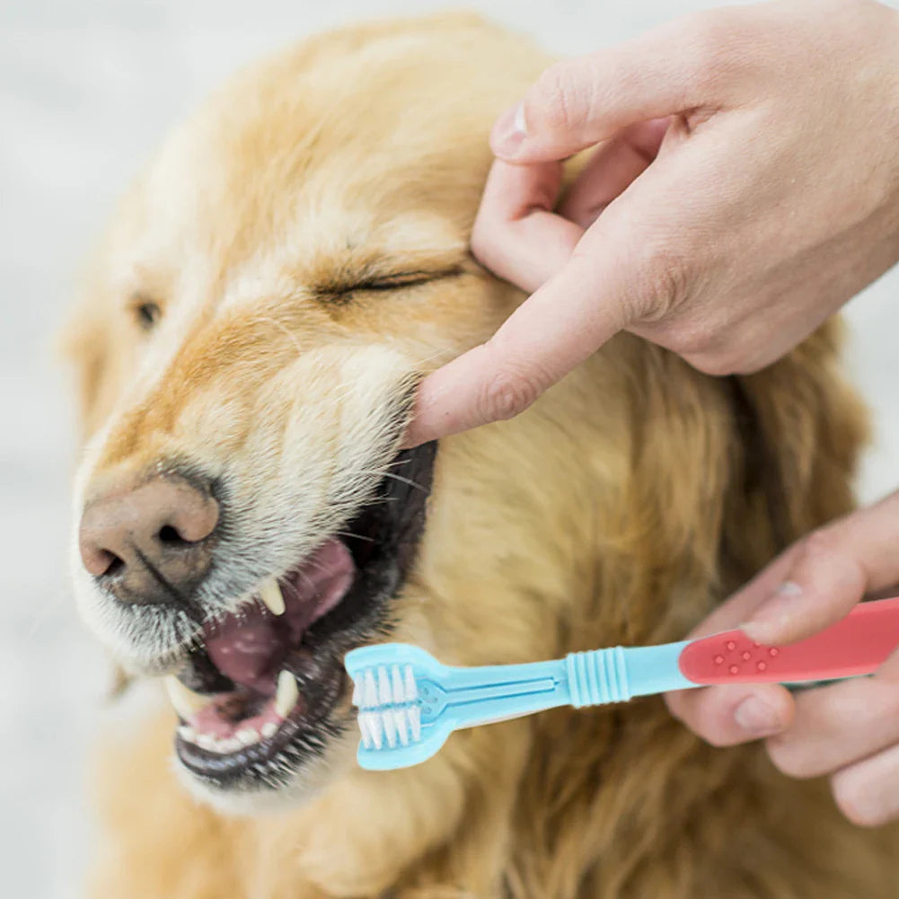 LinaPet | 3-Seiten-Zahnbürste für Haustiere mit Rundum-Borsten