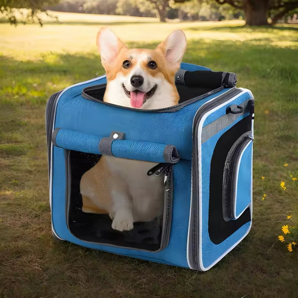 RidePaws | Erweiterbarer Fahrradkorb für Hunde & Katzen