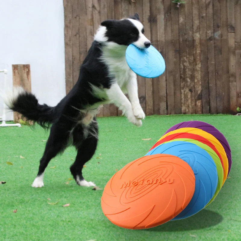 FangFit | Robuster Hunde-Frisbee aus bissfestem Material