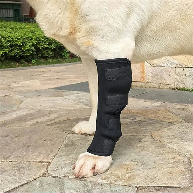 Dogthor | Kniebandagen-Set für Hunde – Gelenkunterstützung im Doppelpack