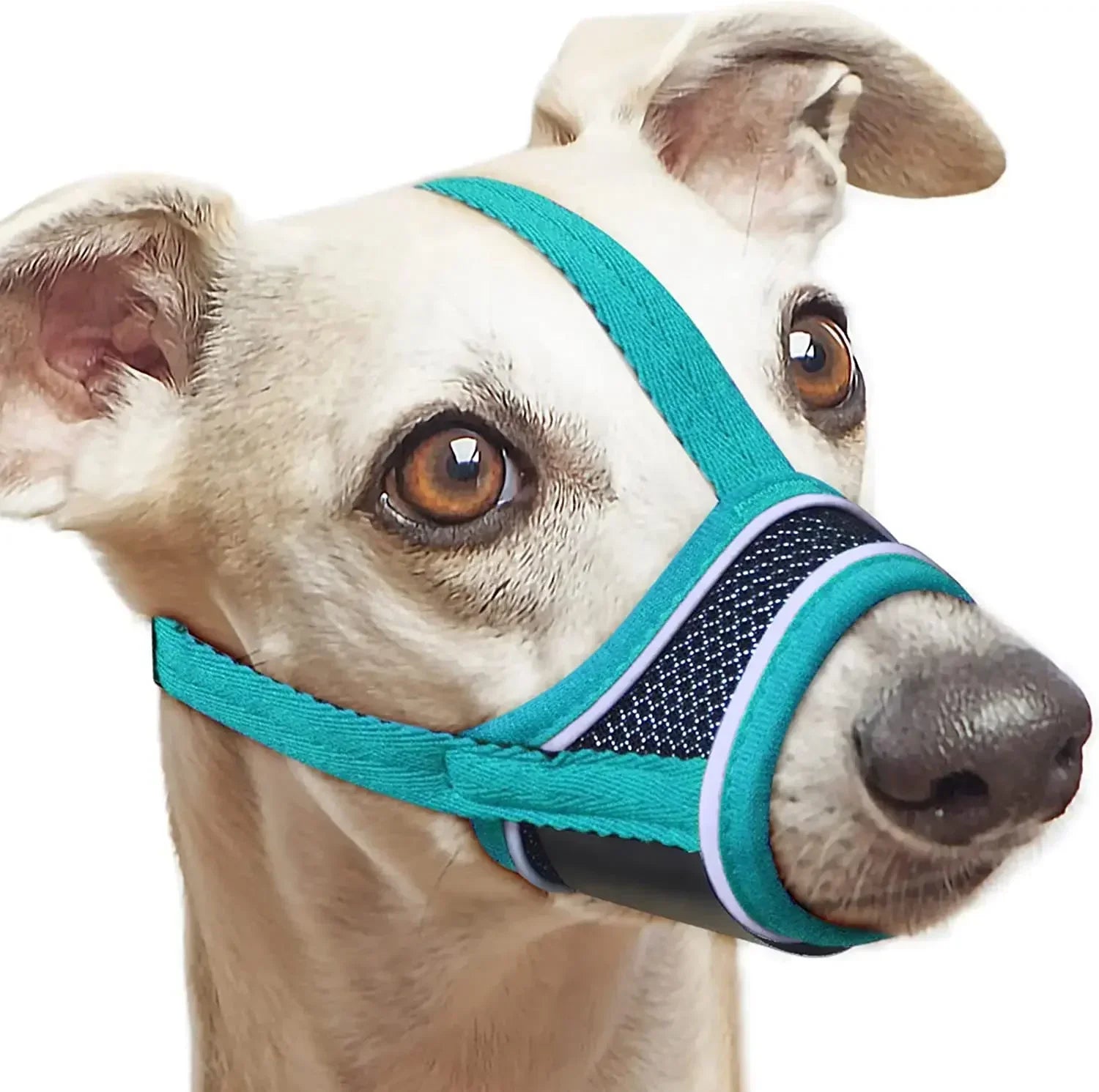 CanisSafe | Hundemaulkorb aus reflektierendem Nylon