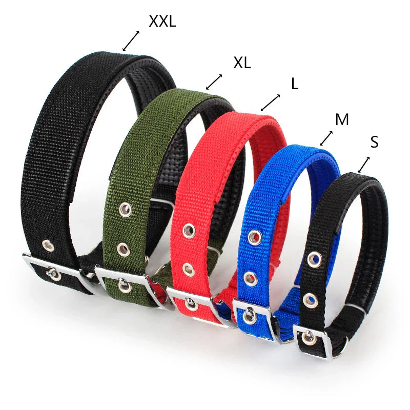 Brando | Verstellbares Nylon-Hundehalsband für aktive Hunde