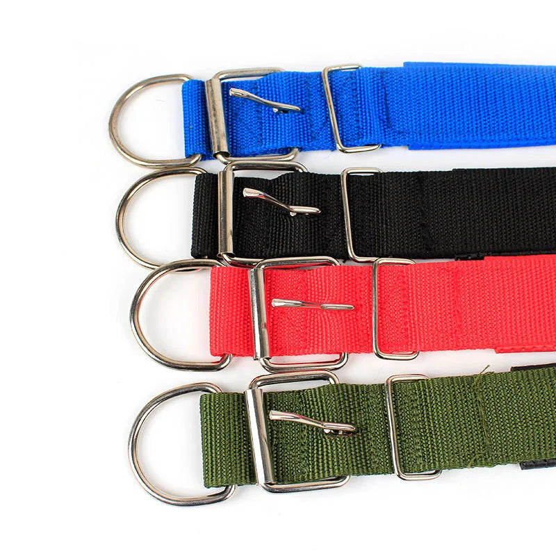 Brando | Verstellbares Nylon-Hundehalsband für aktive Hunde