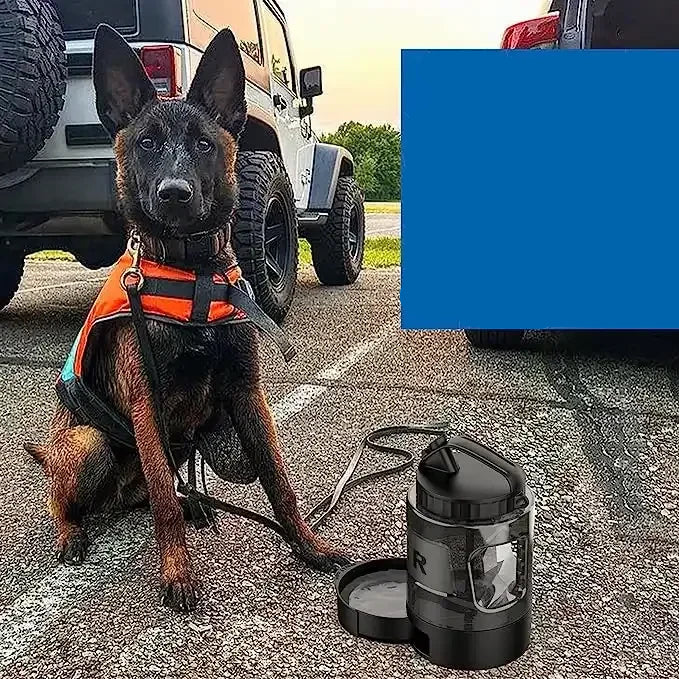 CareTail | Mobile Wasserstation für Hunde mit Napf