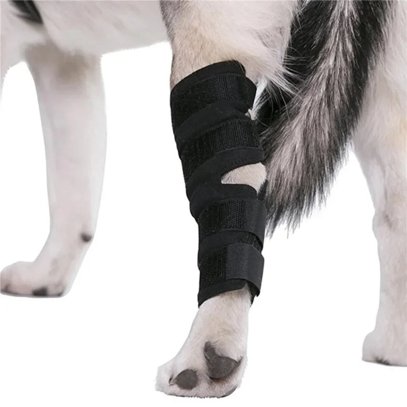 Dogthor | Kniebandagen-Set für Hunde – Gelenkunterstützung im Doppelpack