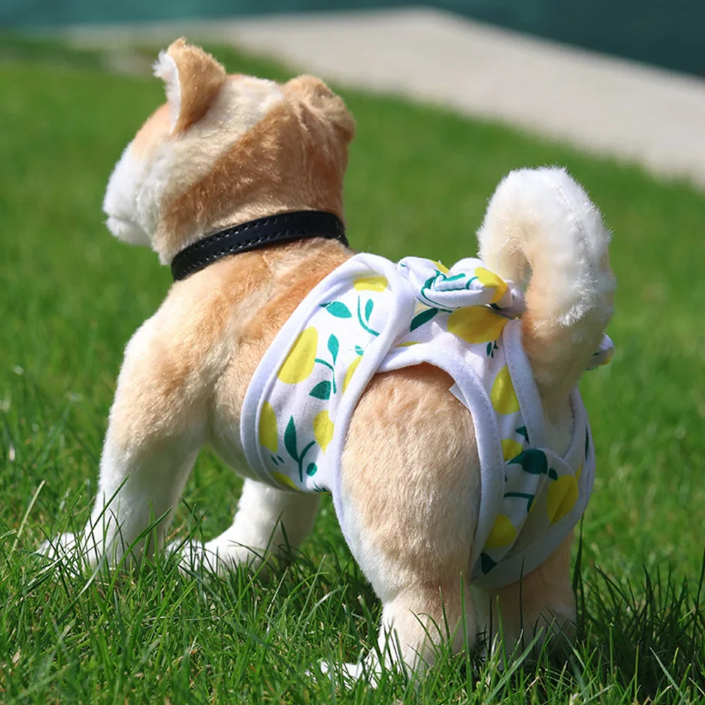 BellaPaws | Stylische Hundewindel für Hündinnen – waschbar & bequem