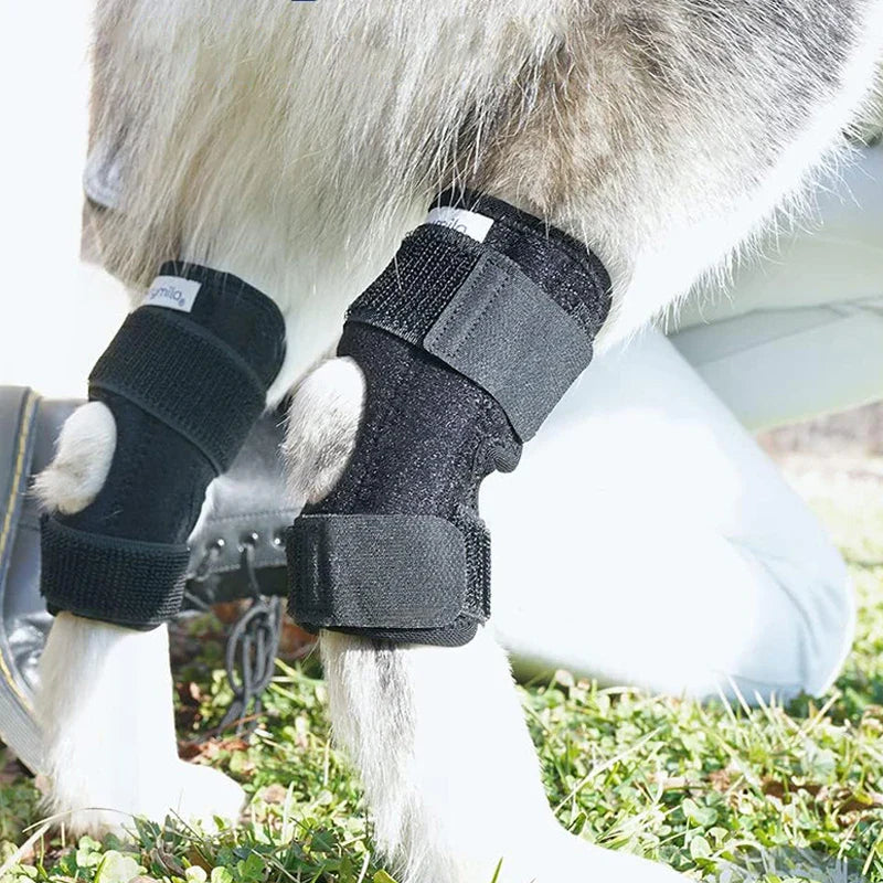 Caniflex | Orthopädische Knie- & Beinschiene für Hunde mit Gel-Polsterung