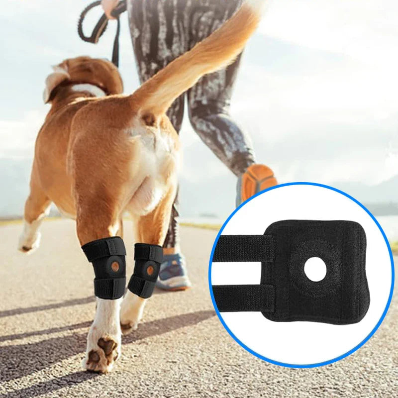 Caniflex | Orthopädische Knie- & Beinschiene für Hunde mit Gel-Polsterung