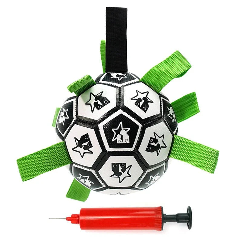 PlayBuddy | Interaktiver Hundeball