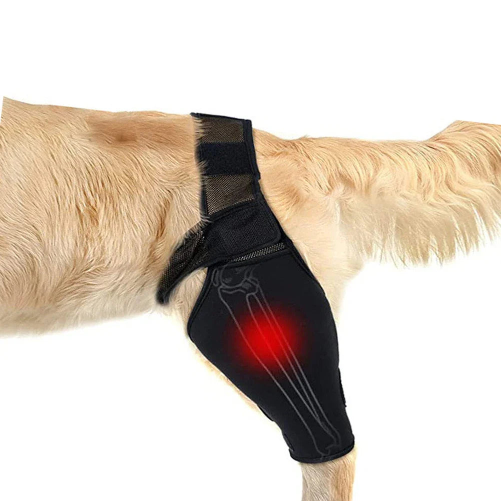DogFlex | Hüft- & Kniebandage für Hunde mit Gelenkunterstützung