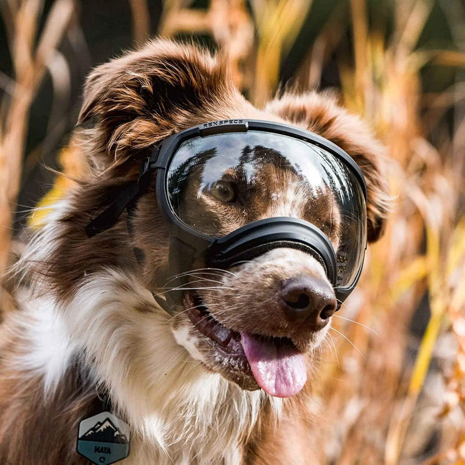 PawView | Anti-UV Hundebrille – Stoßfest & winddicht