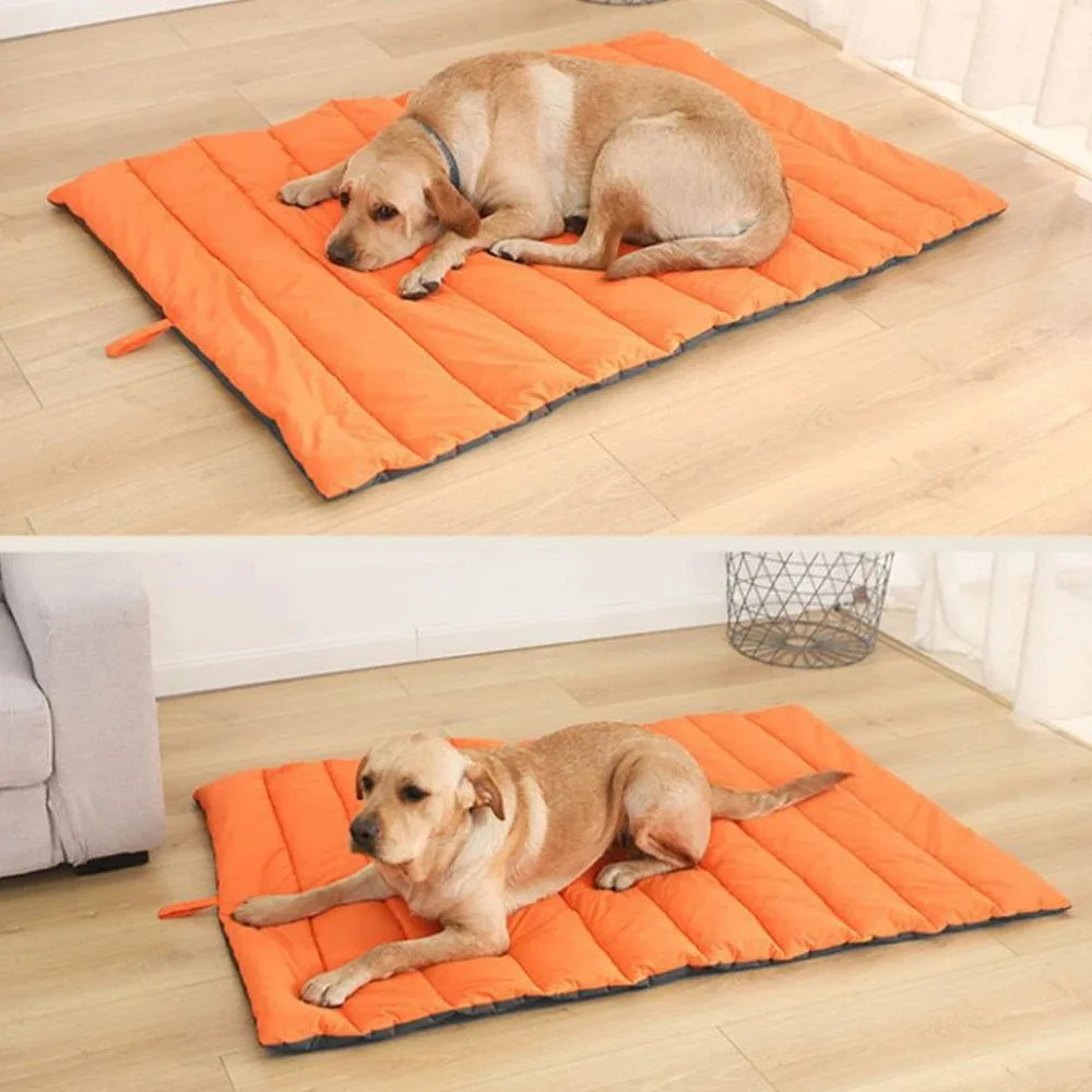 CozyPaws | Tragbares Hundebett & Katzenbett mit Komfortpolsterung