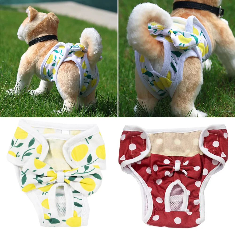 BellaPaws | Stylische Hundewindel für Hündinnen – waschbar & bequem