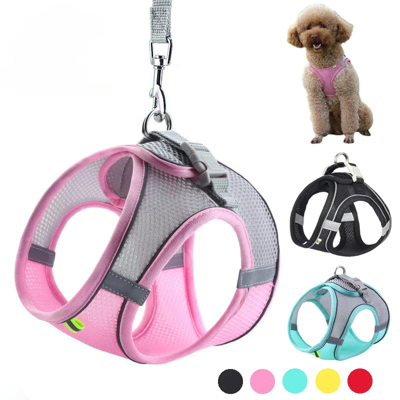 LiaPets | Komfort-Hundegeschirr mit reflektierendem Sicherheitsdesign