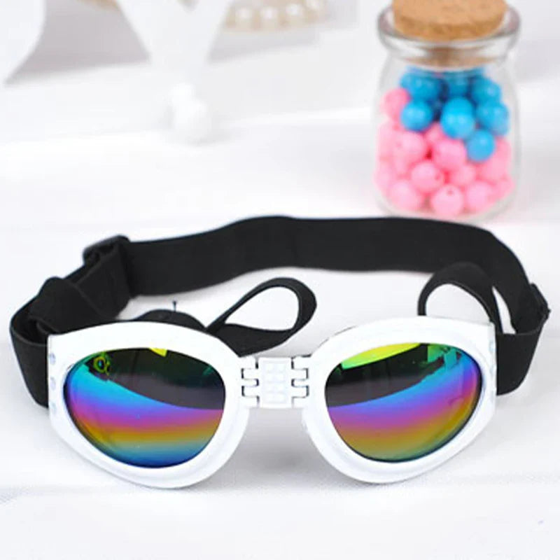 Hektor | Faltbare UV-Schutz-Hundebrille mit elastischem Komfortband