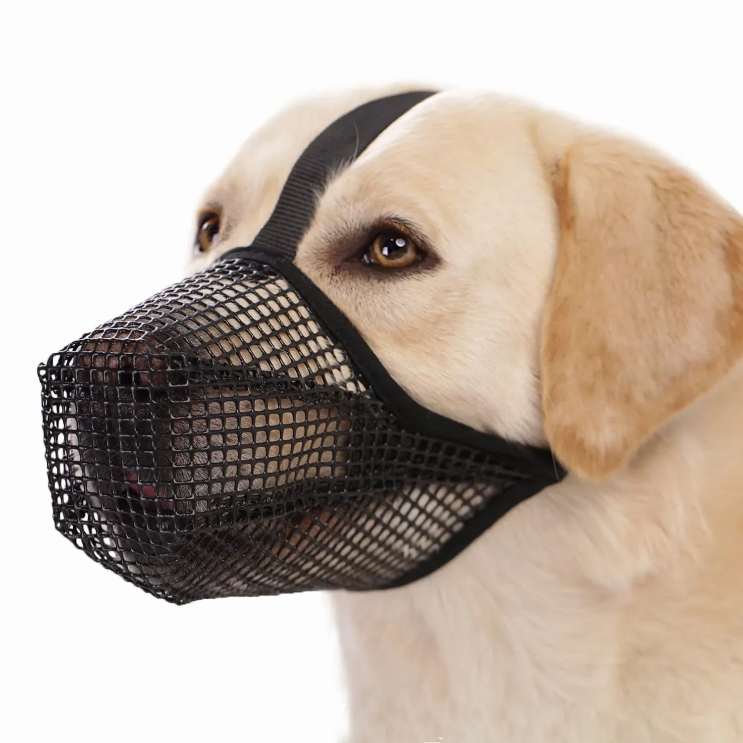 HassoGuard | Atmungsaktiver Maulkorb für Hunde aus Mesh-Gewebe