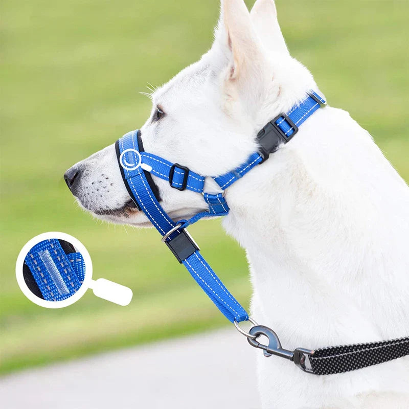 Fidoro | Trainingskopfhalfter für Hunde im Halti-Stil