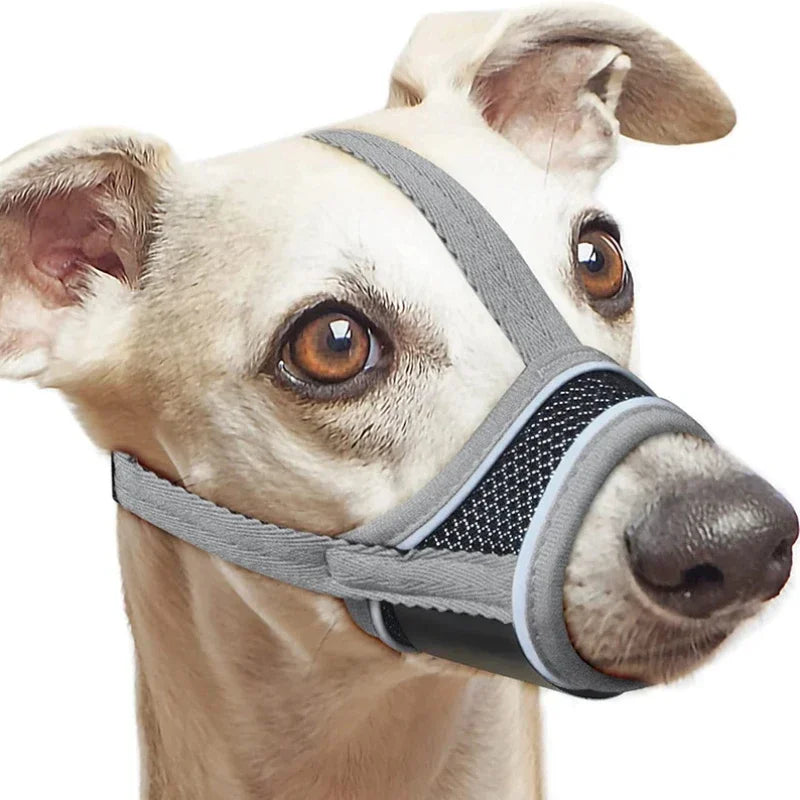 CanisSafe | Hundemaulkorb aus reflektierendem Nylon