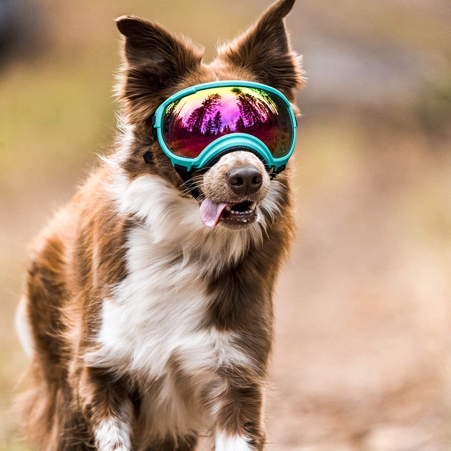 PawView | Anti-UV Hundebrille – Stoßfest & winddicht