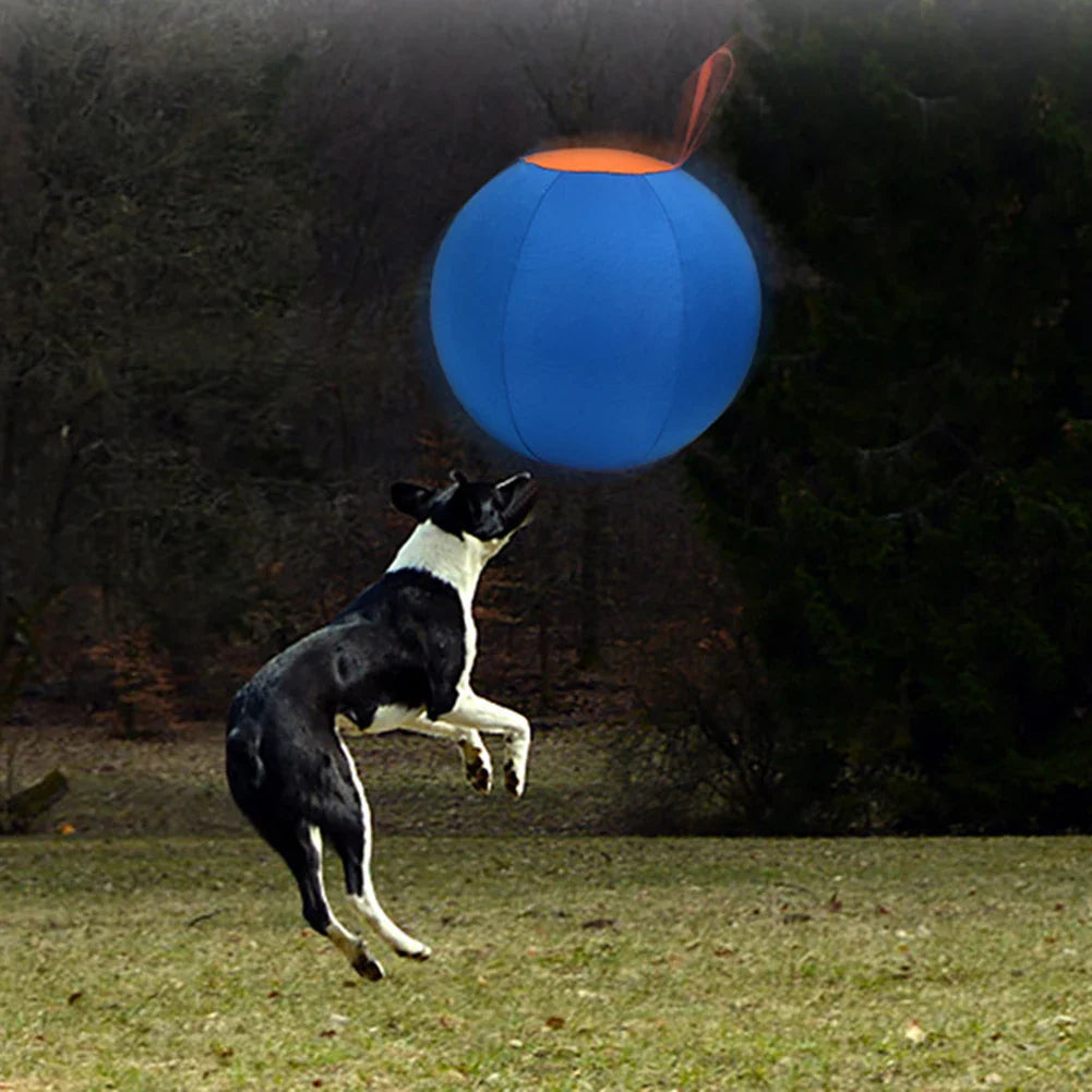 Ragnar | Aufblasbarer Hüteball für Hundetraining und Instinktförderung