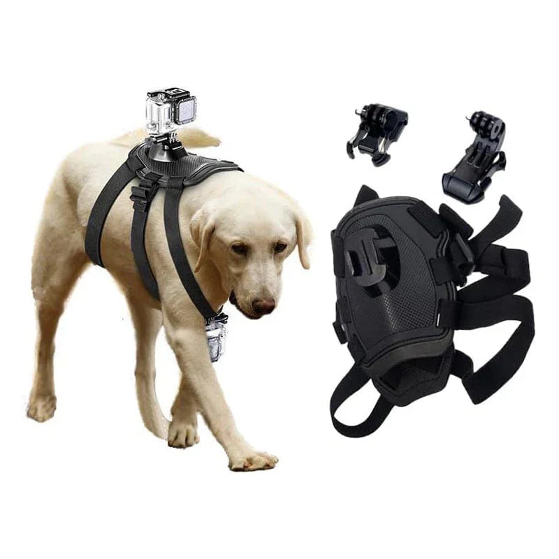 ViewPup | Action-Cam Hundegeschirr mit 360° Perspektive