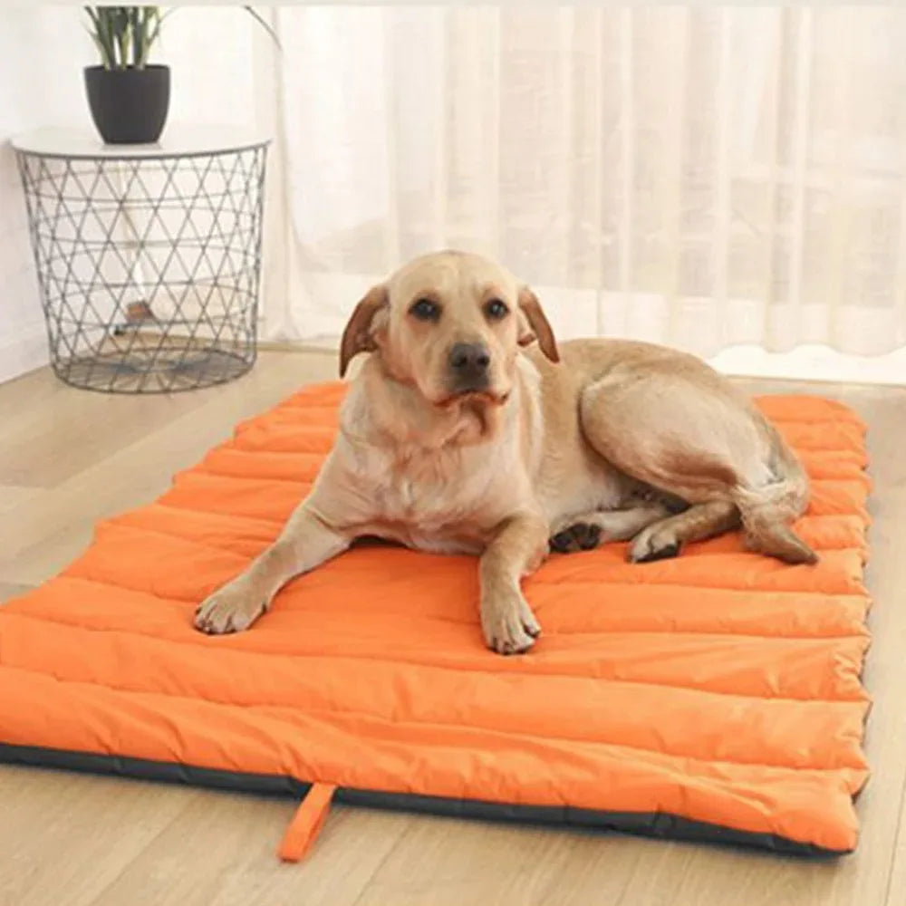 CozyPaws | Tragbares Hundebett & Katzenbett mit Komfortpolsterung