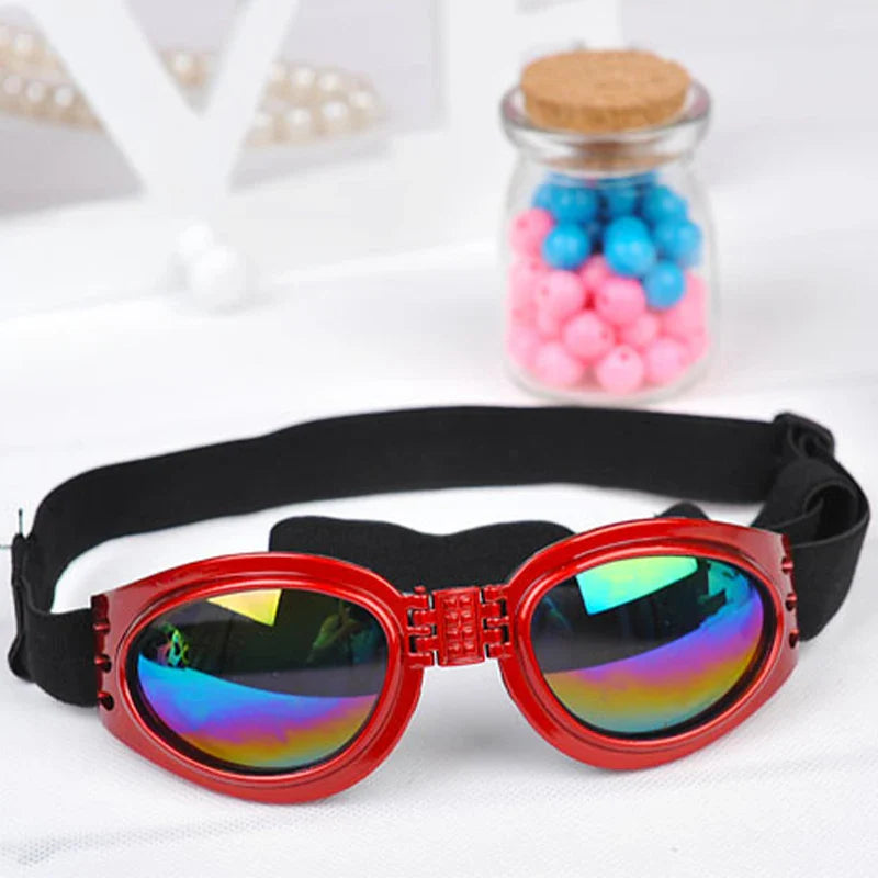 Hektor | Faltbare UV-Schutz-Hundebrille mit elastischem Komfortband