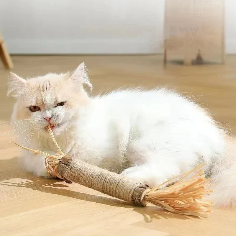 Oscar | Natürlicher XL-Katzenminze-Stick mit Spielspaß