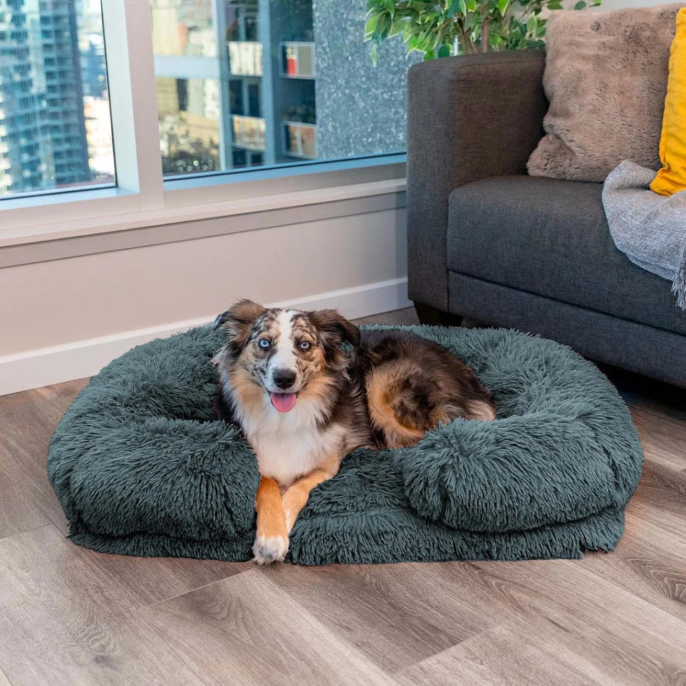 SanPaws | Beruhigungsbett für Hunde mit Memory Foam