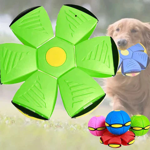 FlipFetch | Frisbee-Ball für Hunde mit Rücksprung-Funktion