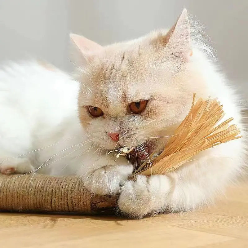 Oscar | Natürlicher XL-Katzenminze-Stick mit Spielspaß