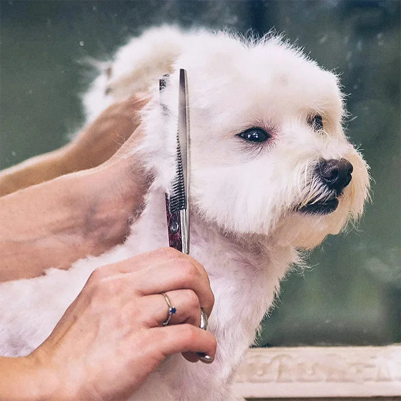 FellMeister | Professionelles Scherenset für Hunde & Katzen mit Sicherheitskanten