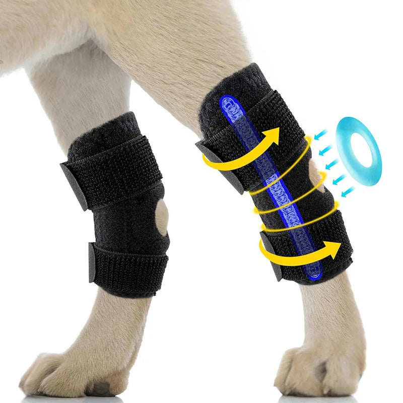 Caniflex | Orthopädische Knie- & Beinschiene für Hunde mit Gel-Polsterung